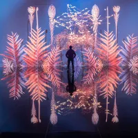 silhouette exposition immersive
