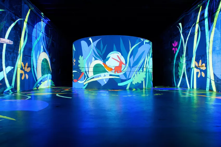 le petit prince renard bassins lumières